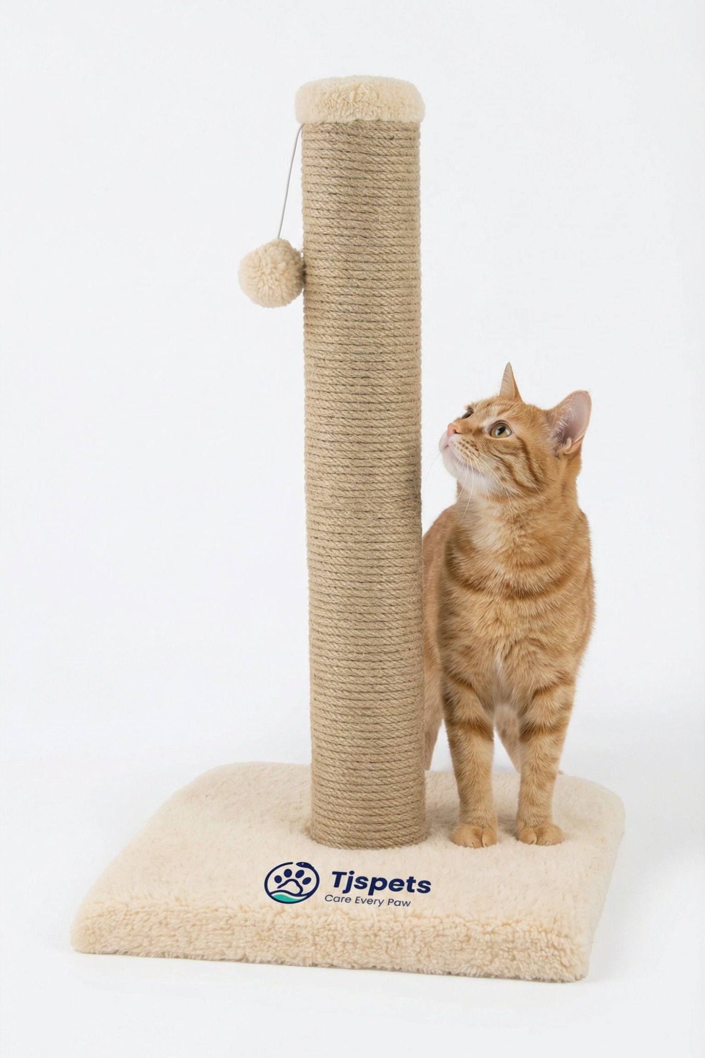 Cat standing next to a beige cat tree with a white background