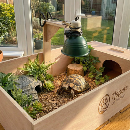 Tortoise in a wooden enclosure with plants and a lamp, on a table.